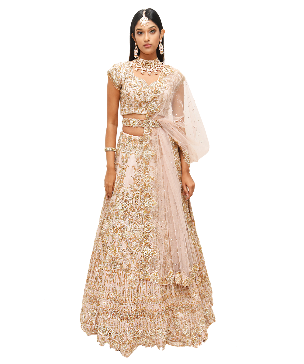 Powder Pink with intricate gold Embroidery Lehenga