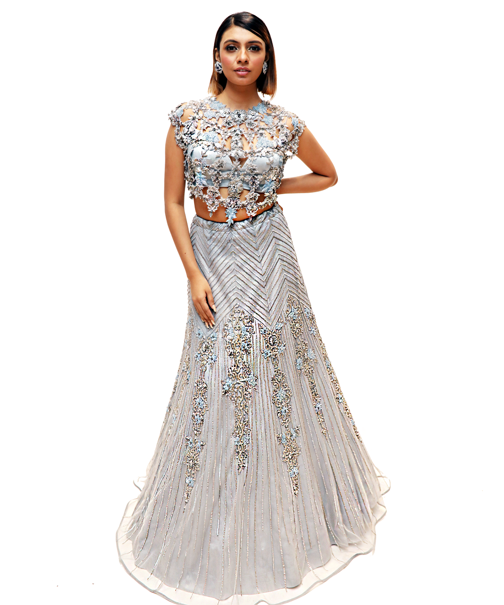 Silver and blue embellished Lehenga With cutwork Bustier